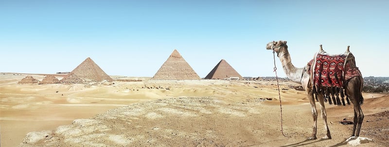 Enigmatic Artifact